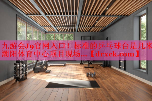 九游会J9官网入口！标准的乒乓球台是几米潮阳体育中心项目现场…