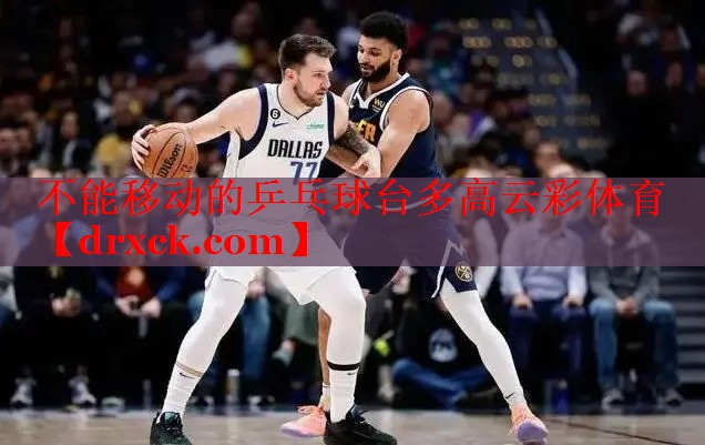 不能移动的乒乓球台多高云彩体育
